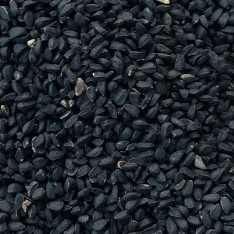 Even if you're not experiencing hair loss, black seed oil will naturally moisturize your scalp, reducing itching and dryness. Black cumin seeds - Haleo