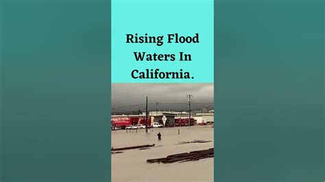Rising Flood Waters In California Shortsvideo Shorts Youtube