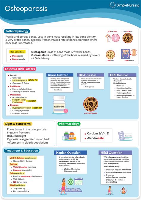 2. Osteoporosis - osteroporosis med surg 1 - Osteoporosis Causes & Risk