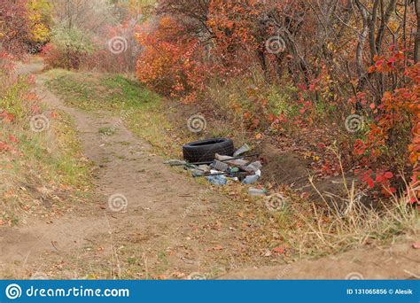 Garbage In Forest. People Illegally Thrown Garbage Into Forest. Stock Photo - Image of garbage 