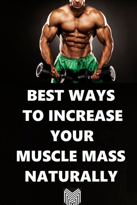 How To Increase Muscle Mass Naturally How To Increase Muscle Gain