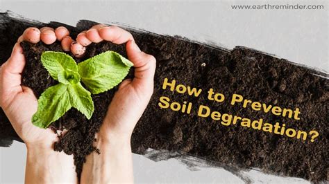 Soil Erosion Prevention