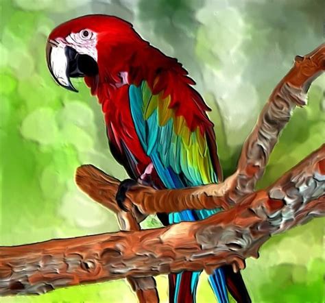Parrot Painting By Karen Sheltrown Artmajeur