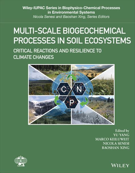 Multi Scale Biogeochemical Processes In Soil Ecosystems Critical