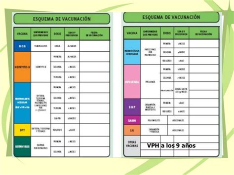 Ema a creat comisii speciale pentru a facilita colaborarea între experți și companiile producătoare ESQUEMA DE VACUNACION - papilomahumanoJUAREZBRITOITZEL