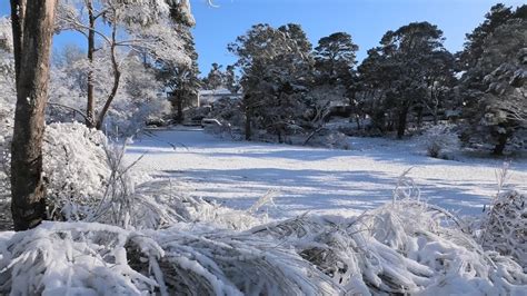 Australia Snow Year In Review 2022 Blackheath Blue Mountains And