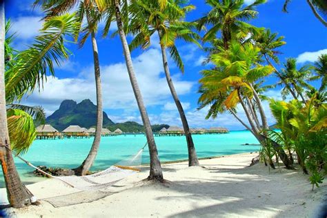 les plus belles plages du monde belle plage hammock beach hawaï big island