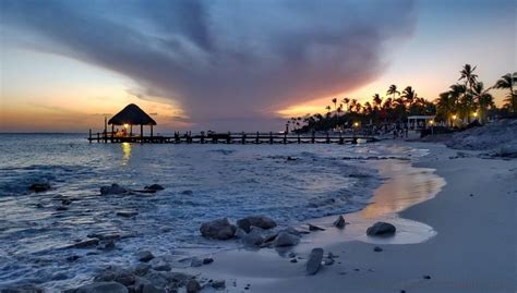 Excursión A Isla Saona El Caribe Soñado En La República Dominicana