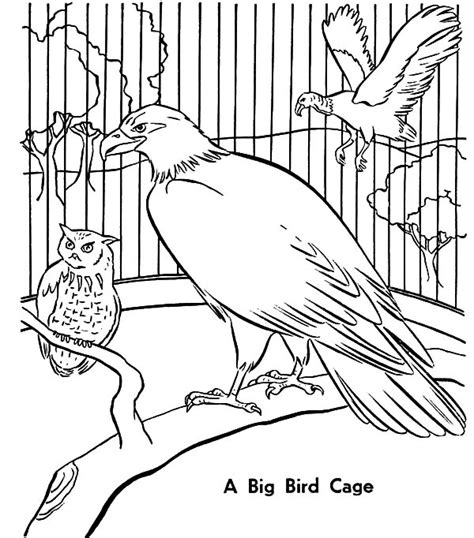 A Big Bird Cage Coloring Pages | Best Place to Color