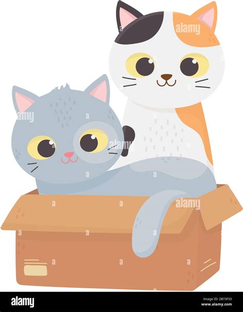 Cats Make Me Happy Cute Kittens In Box Domestic Pet Cartoon Vector