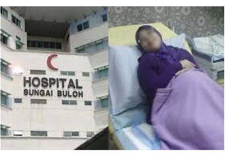 In 1999, a new sungai buloh hospital (130 acre) development project was started to meet the growing population needs around this area and to reduce the outflow of patients at the kuala. sekadar gambar hiasan