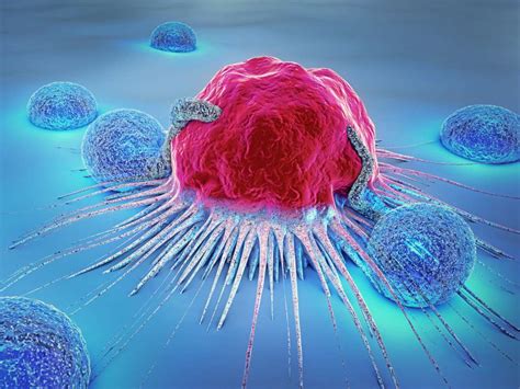 'Supramolecule' helps immune cells 'eat up' cancer