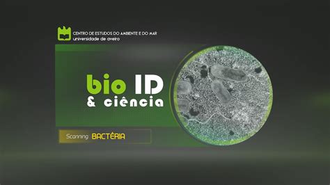 Stage vi parents and yound adults est. BIO ID Bactéria - YouTube