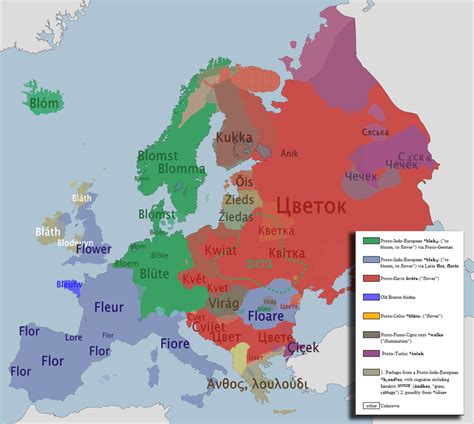 The Word For Flower In Various European Languages Source Link