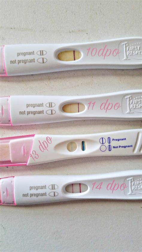What Does A Positive Pregnancy Test Really Look Like Page 32 — The Bump
