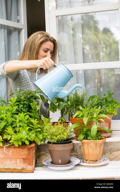 Person Watering Plants Hi Res Stock Photography And Images Alamy