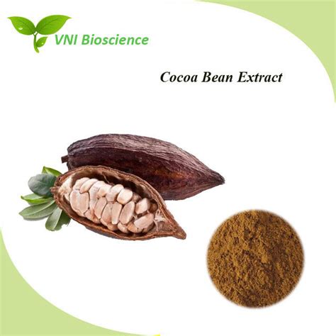 Oem Cocoa Bean Extract Supplement Theobroma Cacao Extract Theobromine