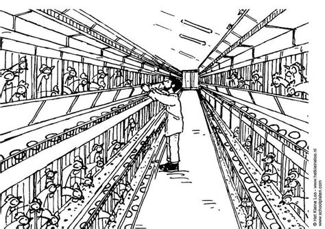 More images for chicken coop coloring pages » Coloring Page chicken coop - free printable coloring pages ...