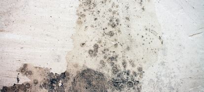 Individuals who have been exposed to such molds may develop a rare lung disease called pulmonary hemosiderosis, which is a type of lung disorder that may cause bleeding in the lungs, according to pulmonaryhemosiderosis.com. How to Prevent Mold Growth on Your Basement Ceiling ...