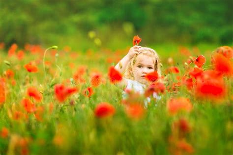 Beautiful Child Picking Flowers In Poppy Field Stock Photo Image Of