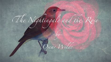 The Nightingale And The Rose By Oscar Wilde Youtube