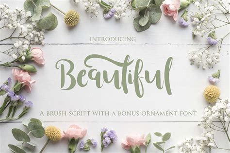 Beautiful Font ~ Script Fonts ~ Creative Market