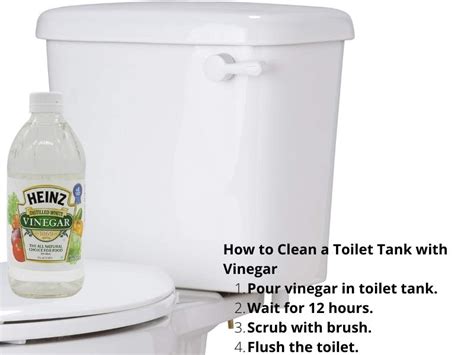 How To Clean A Toilet Tank With Vinegar And More