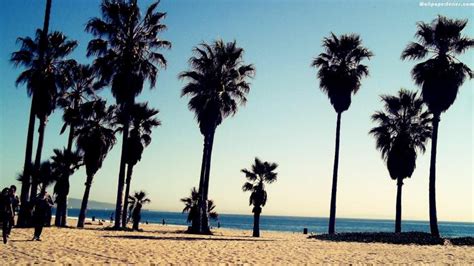 Free Download 49 Venice Beach California Wallpaper On Wallpapersafari