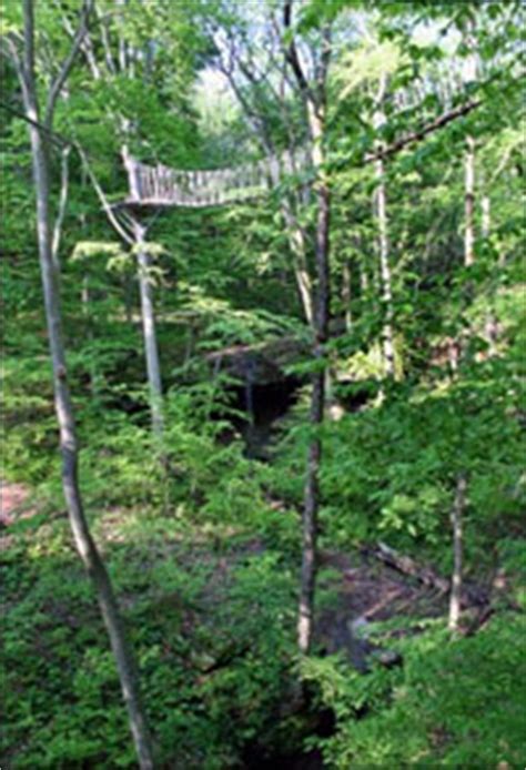 The original canopy tour from $94 @ hocking hills canopy tours, where you can claim an amazing discount on your next order! Hocking Hills Canopy Tours-Hocking Hills Zipline Tours