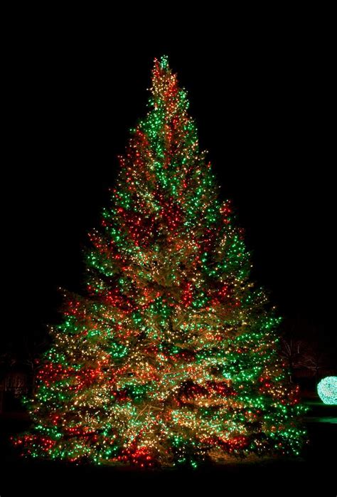 Best Christmas Tree Light Ideas To Make Your Home Shine Cool