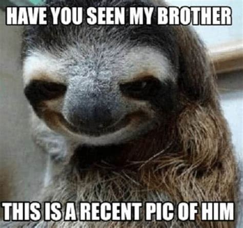 30 funny brother memes to troll your sibling with