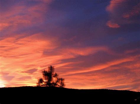 Lone Pine Sunset Photograph By Will Borden Fine Art America