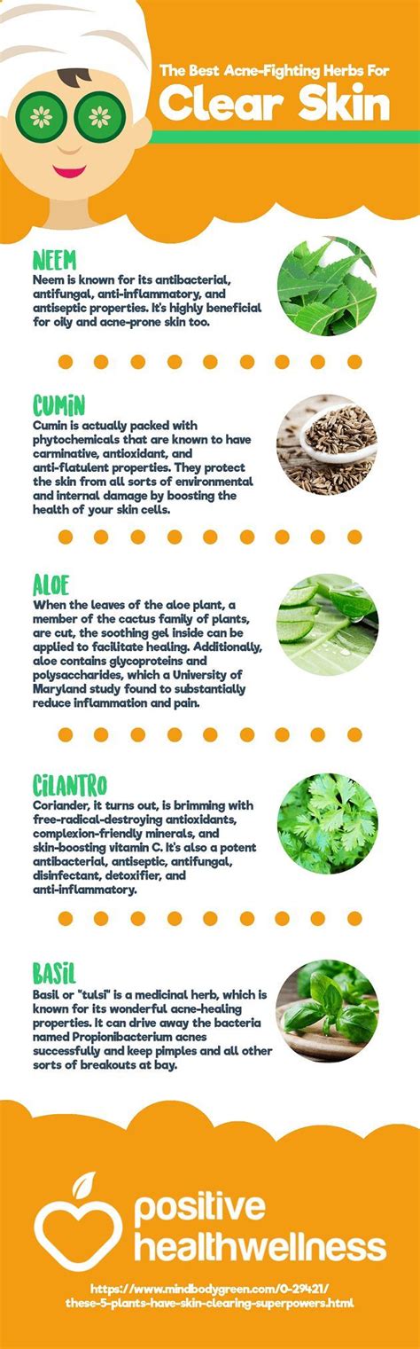 The Best Acne Fighting Herbs For Clear Skin Positive Health Wellness