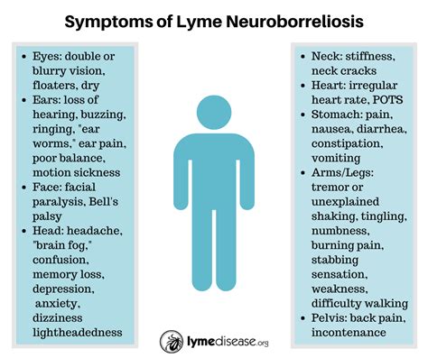 Can Treating Mast Cells Help Neurological Lyme Madison Area Lyme