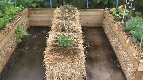 Straw Bale Gardening With An Rs Combo Raised Bed Garden