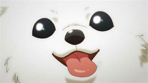 Cute Puppy Anime Wallpapers Top Free Cute Puppy Anime Backgrounds