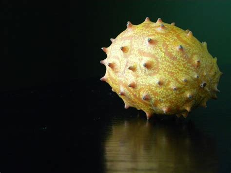 A guide to kiwano melon, a fruit sometimes called horned melon or jelly melon, how it tastes, how to use and eat it, and links to recipes. Kiwano Melon, Horned Melon | Fruit Maven