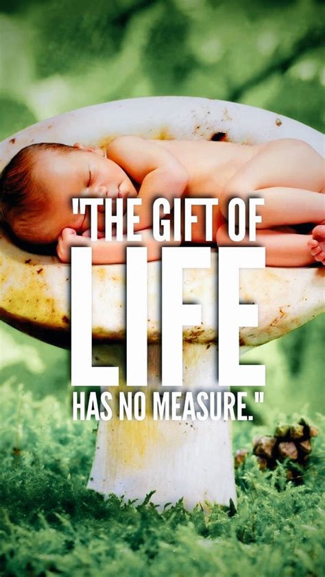What is the value of life? - Quora