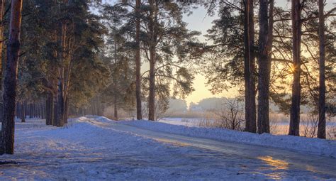 Wallpaper Road Wood Morning Light House Snow Cold