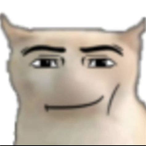 Silly Cat with Drawn-on Eyes and Nose