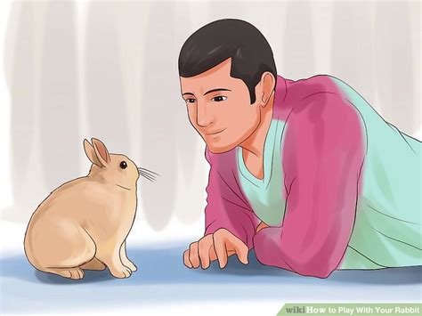 How To Play With Your Rabbit 9 Steps With Pictures Wikihow