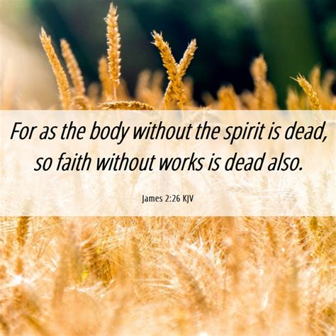 James 226 Kjv For As The Body Without The Spirit Is Dead So