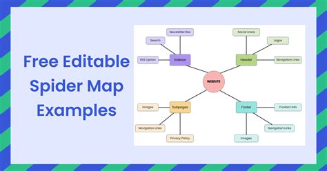 Free Editable Spider Map Examples EdrawMax Online