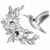Hummingbird Colibri Stylized Flower Lineare Fliegender Uccello Stilizzato Kolibris Stilisierter Volo Ornamenti Colibr Disegnando Vectorial sketch template