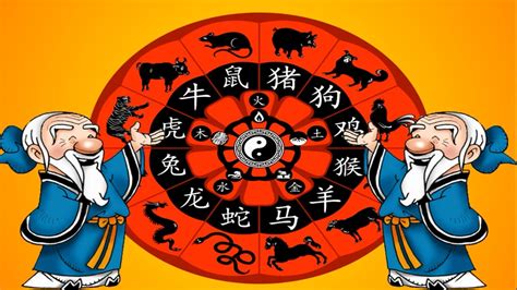 conociendo a los signos del horóscopo chino