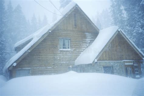 Cabin In Snowy Forest Stock Photo Image Of Frame Color 23178594