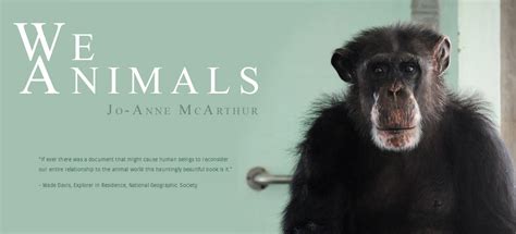 We Animals Jo Anne Mcarthur