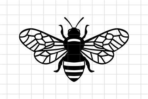 Bee Svg Honey Bee Svg Cut File Cricut Cutting File Svgs Images And Photos Finder