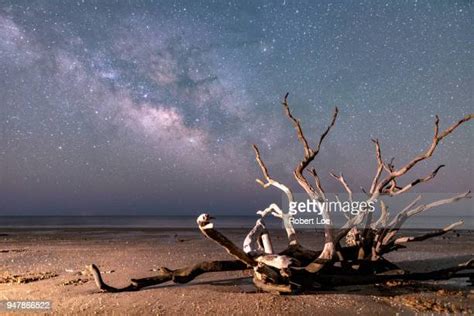エディスト島 ストックフォトと画像 Getty Images