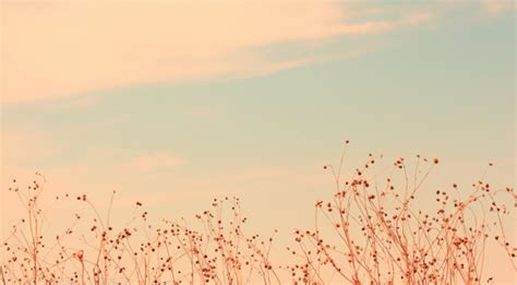 Maybe you would like to learn more about one of these? Soft Wallpaper Download Desktop 3593 Wallpaper Cool ...